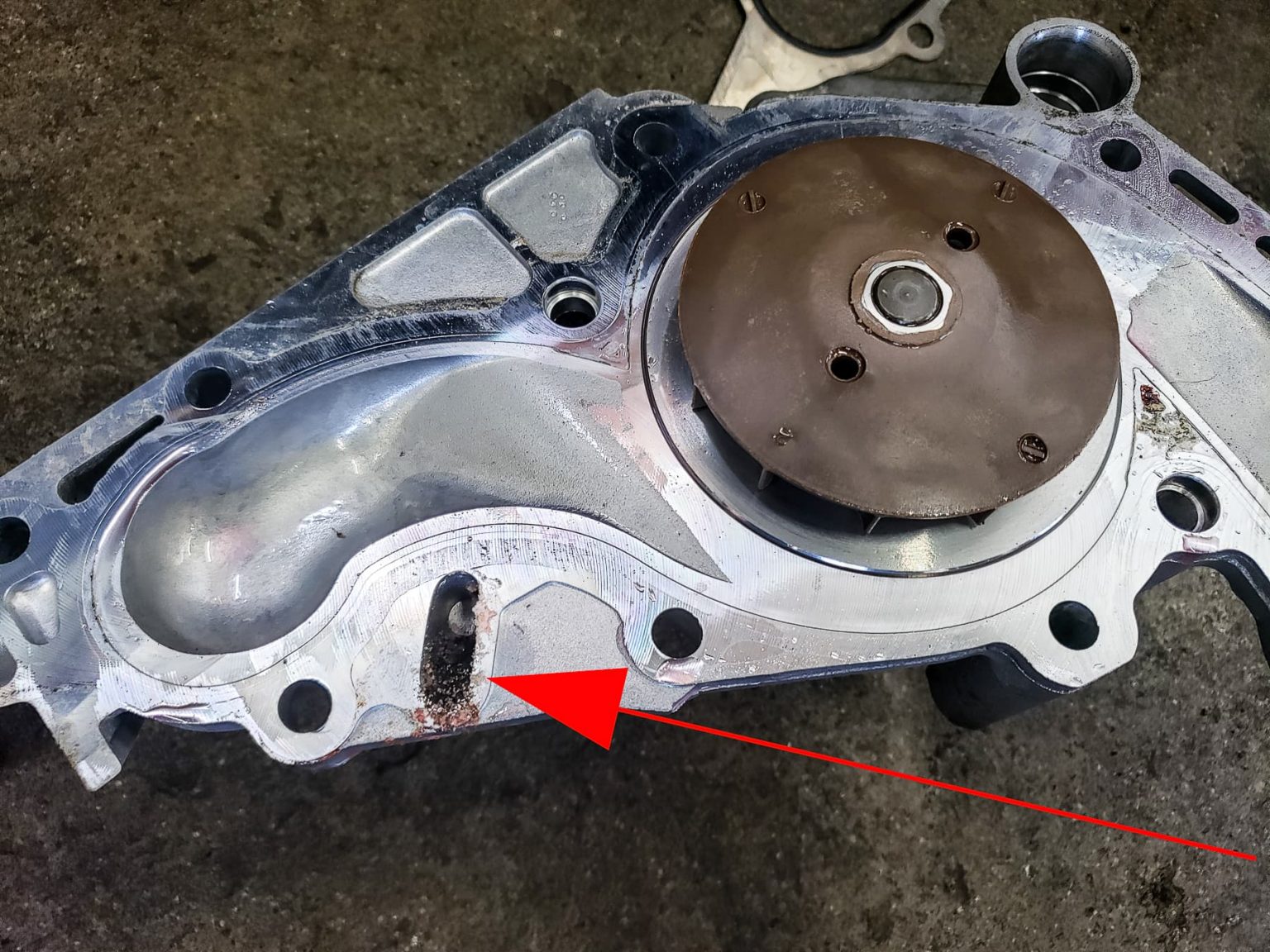 2005 Lexus GX470 Timing Belt Replacement Pawlik Automotive Repair