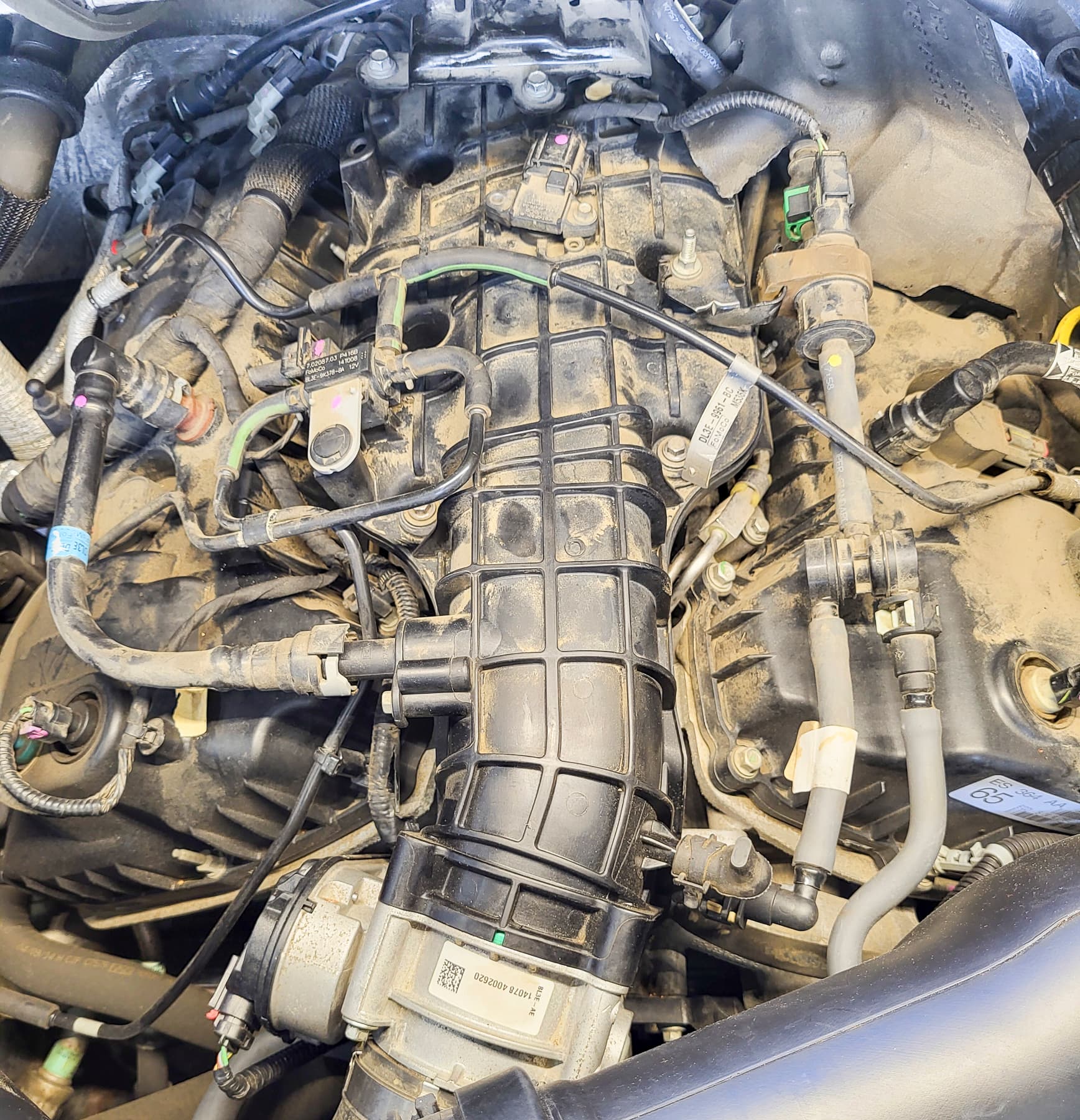 2014 Ford F150 - 3.5 ecoboost - Intake valve cleaning-3 2014 Ford F150 Valves